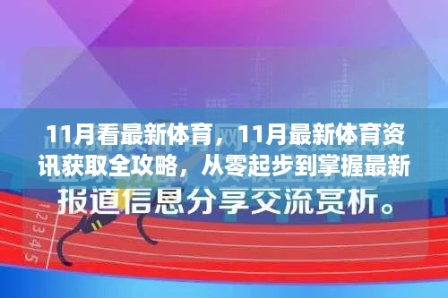 11月最新体育资讯全攻略，从入门到掌握最新动态