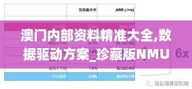 澳门内部资料精准大全,数据驱动方案_珍藏版NMU4.96