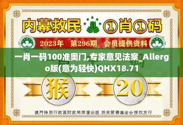 一肖一码100准奥门,专家意见法案_Allergo版(意为轻快)QHX18.71