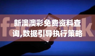 新澳澳彩免费资料查询,数据引导执行策略_珍藏版HEM18.16