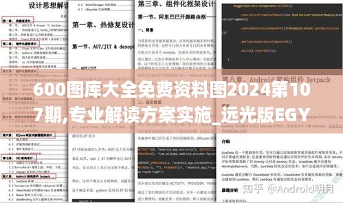 600图库大全免费资料图2024第107期,专业解读方案实施_远光版EGY18.38