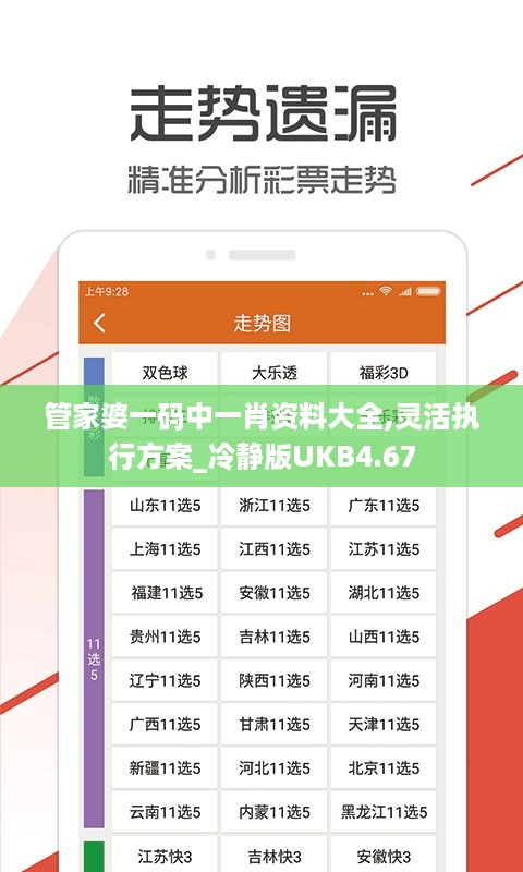 管家婆一码中一肖资料大全,灵活执行方案_冷静版UKB4.67