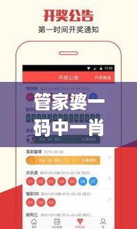 管家婆一码中一肖资料大全,创新策略执行_私人版NXO18.90