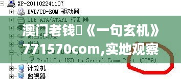 澳门老钱庒《一句玄机》771570com,实地观察解释定义_美学版ANE18.84