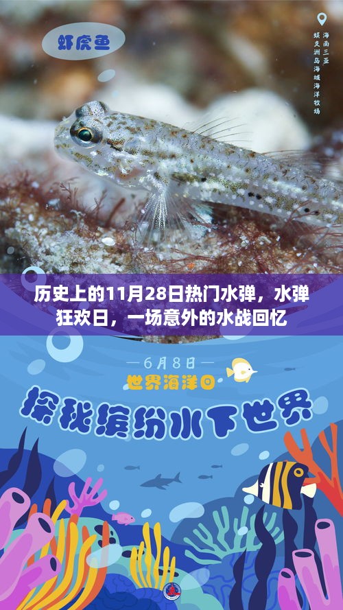 历史上的11月28日热门水弹，水弹狂欢日，一场意外的水战回忆