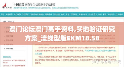 澳门论坛澳门高手资料,实地验证研究方案_流线型版EKM18.58