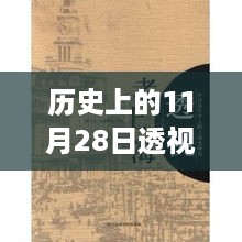 历史上的11月28日，透视医仙最新章节及其启示