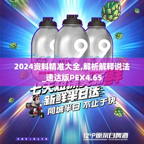 2024资料精准大全,解析解释说法_速达版PEX4.65