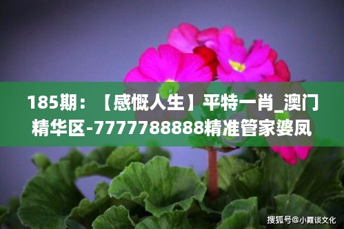 185期：【感慨人生】平特一肖_澳门精华区-7777788888精准管家婆凤凰网,7777788,全面信息解释定义_曝光版ELS18.26