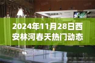 独家解读，2024年11月28日西安林河春天最新动态全面解析