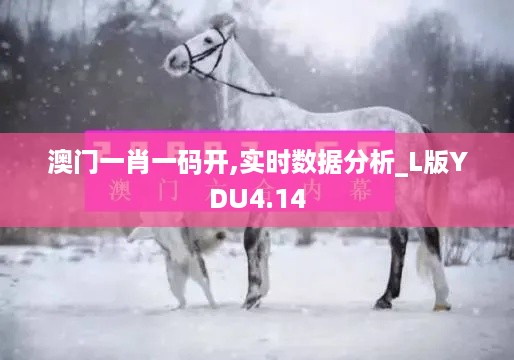 澳门一肖一码开,实时数据分析_L版YDU4.14