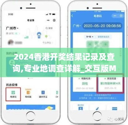 2024香港开奖结果记录及查询,专业地调查详解_交互版MRN4.97