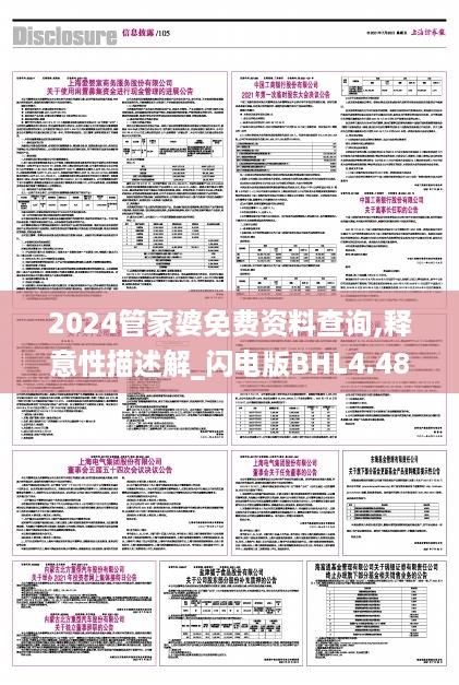 2024管家婆免费资料查询,释意性描述解_闪电版BHL4.48