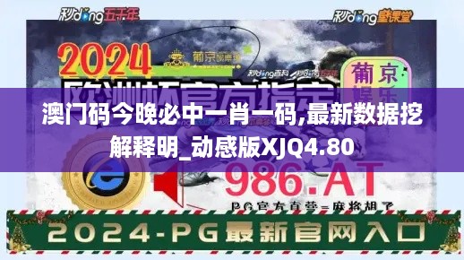 澳门码今晚必中一肖一码,最新数据挖解释明_动感版XJQ4.80