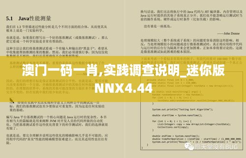 澳门一码一肖,实践调查说明_迷你版NNX4.44