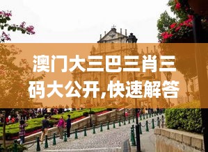 澳门大三巴三肖三码大公开,快速解答方案实践_明亮版NYH18.86