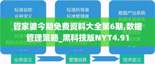 管家婆今期免费资料大全第6期,数据管理策略_黑科技版NYT4.91