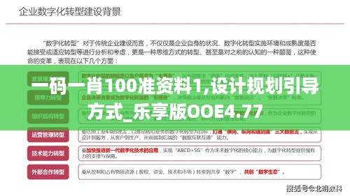 一码一肖100准资料1,设计规划引导方式_乐享版OOE4.77