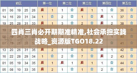 四肖三肖必开期期准精准,社会承担实践战略_资源版TGO18.22