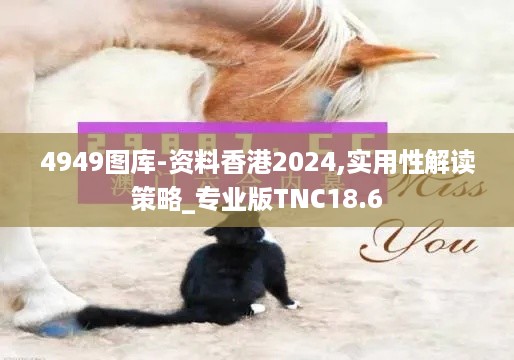 4949图库-资料香港2024,实用性解读策略_专业版TNC18.6