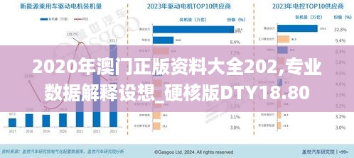 2020年澳门正版资料大全202,专业数据解释设想_硬核版DTY18.80