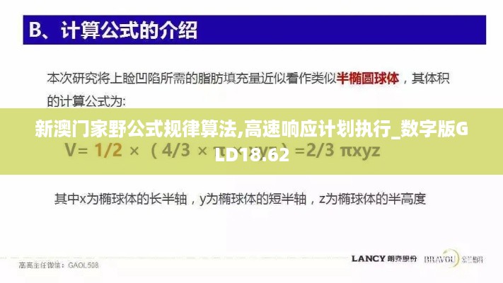 新澳门家野公式规律算法,高速响应计划执行_数字版GLD18.62