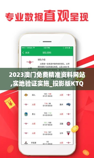 2023澳门免费精准资料网站,实地验证实施_投影版KTQ4.38