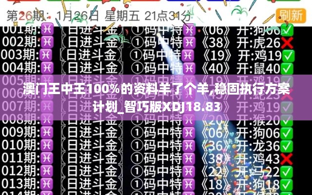 澳门王中王100%的资料羊了个羊,稳固执行方案计划_智巧版XDJ18.83