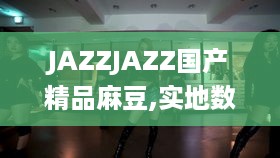 JAZZJAZZ国产精品麻豆,实地数据验证_定制版USR4.57