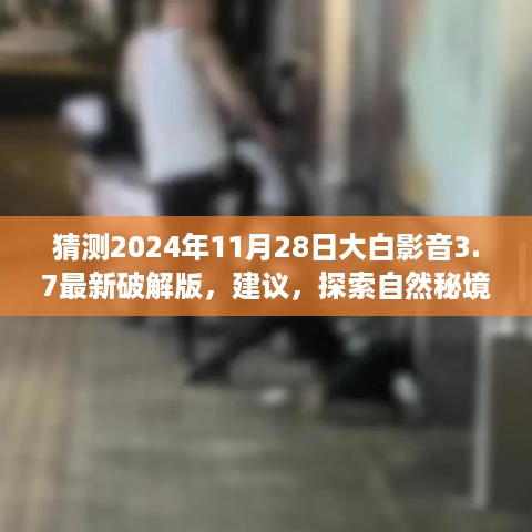 大白影音之旅，探索心灵启示，破解版3.7带你远离尘嚣，寻找内心的宁静与和谐的建议