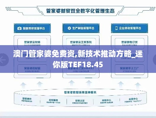 澳门管家婆免费资,新技术推动方略_迷你版TEF18.45