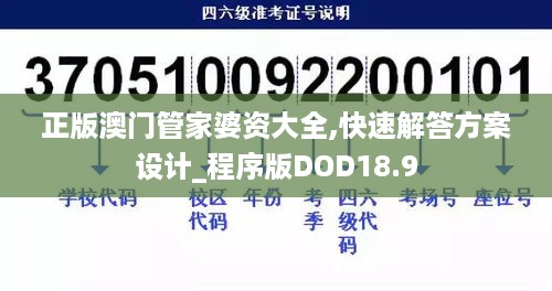 正版澳门管家婆资大全,快速解答方案设计_程序版DOD18.9