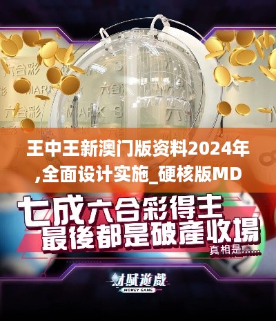 王中王新澳门版资料2024年,全面设计实施_硬核版MDL4.93