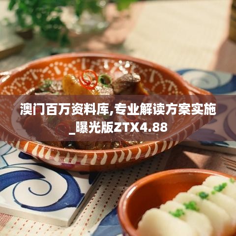 澳门百万资料库,专业解读方案实施_曝光版ZTX4.88