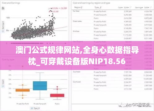 澳门公式规律网站,全身心数据指导枕_可穿戴设备版NIP18.56