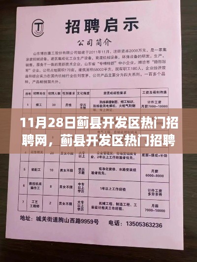 蓟县开发区热门招聘网，11月28日回顾与展望，最新招聘信息一网打尽