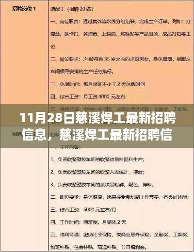 慈溪焊工最新招聘信息全面解析，特性、体验、竞品对比及用户群体深度分析，11月28日独家评测报告