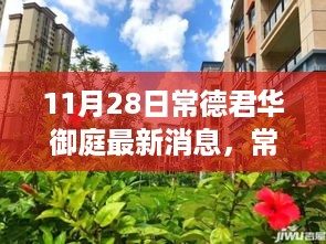 常德君华御庭11月28日最新动态，温馨日常与难忘友情时刻