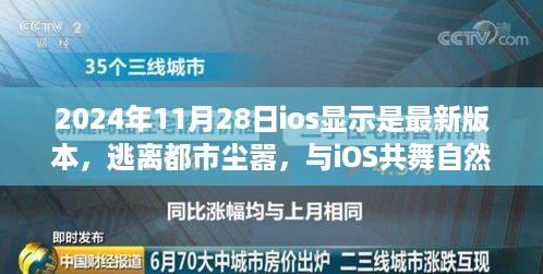 探索内心的宁静之旅，iOS最新版本的逃离都市尘嚣体验