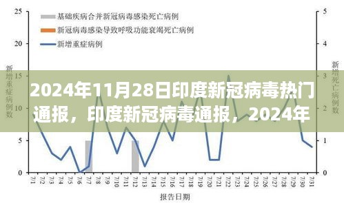 2024年11月28日印度新冠病毒通报回顾，影响与启示