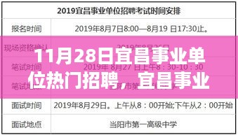 宜昌事业单位招聘指南，11月28日热门职位报名全攻略与报名技巧分享