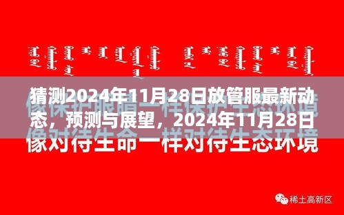 建议，2024年11月28日放管服最新动态展望与深度思考