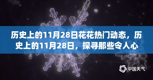 独家揭秘，历史上的11月28日花花热门动态，探寻心动瞬间小红书揭秘篇🌹