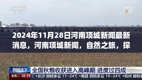 河南项城新闻热点，自然之旅的心灵探索与最新资讯报道（2024年11月28日）