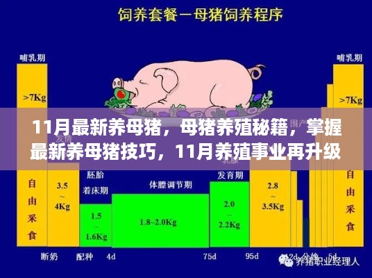 11月母猪养殖秘籍大揭秘，升级养殖事业，掌握最新养母猪技巧