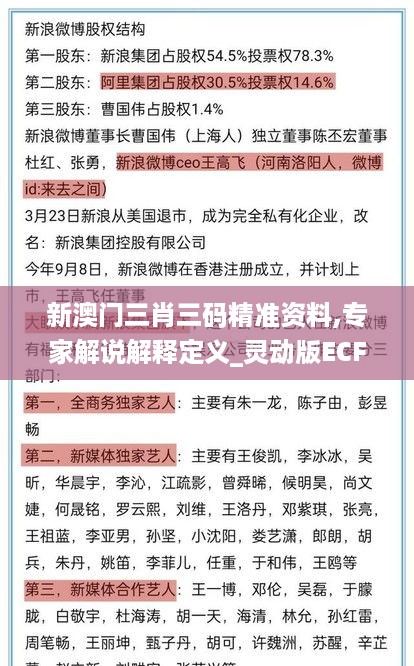 新澳门三肖三码精准资料,专家解说解释定义_灵动版ECF94.710