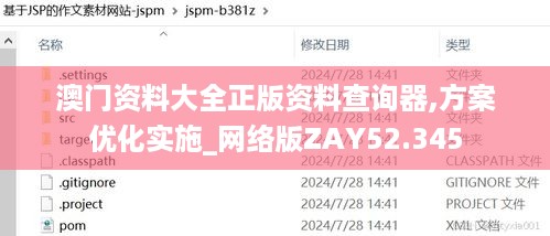 澳门资料大全正版资料查询器,方案优化实施_网络版ZAY52.345