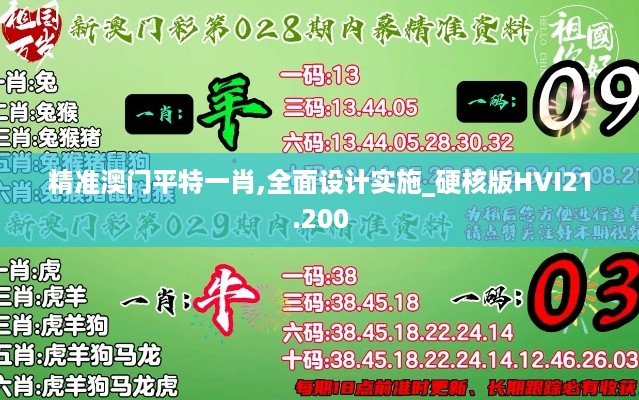 精准澳门平特一肖,全面设计实施_硬核版HVI21.200