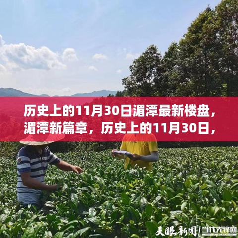 历史上的11月30日揭秘湄潭最新楼盘魅力，开启新篇章