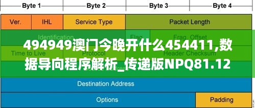 494949澳门今晚开什么454411,数据导向程序解析_传递版NPQ81.121